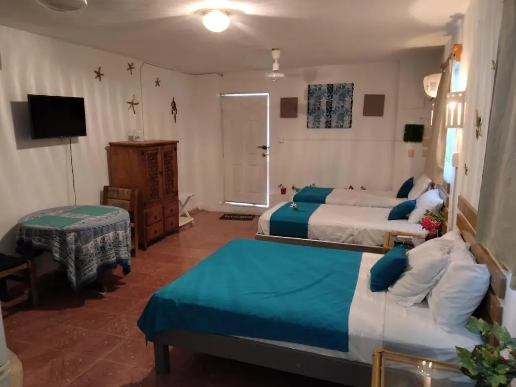 Casa San Miguel 1 Apartment Cozumel Mexico